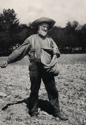 Birth of the Auto Industry