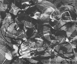 Brooks #27 Modern Oil Painting